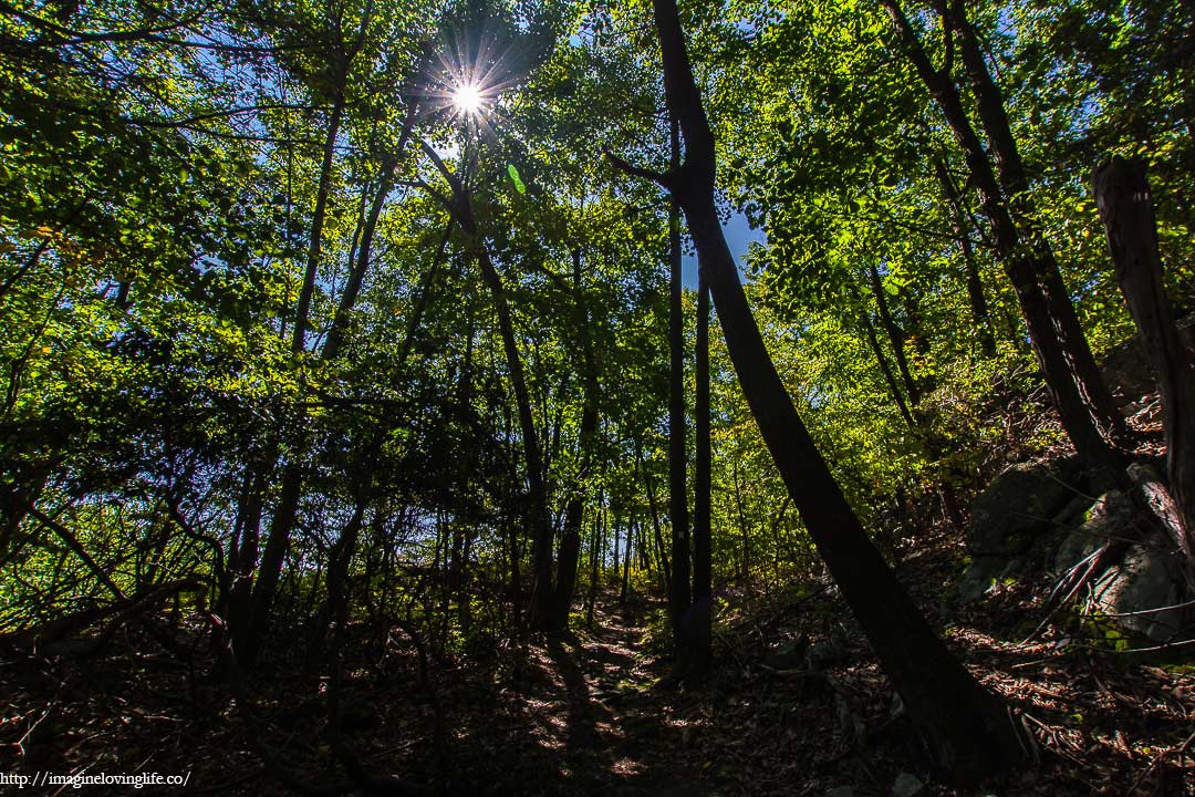 white trail incline